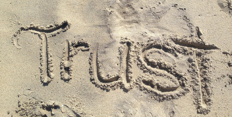 TRUST - What do we Lean on?