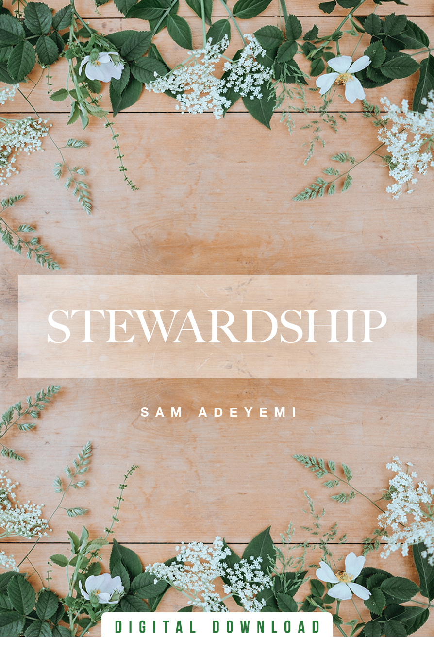 Stewardship